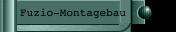 Fuzio-Montagebau